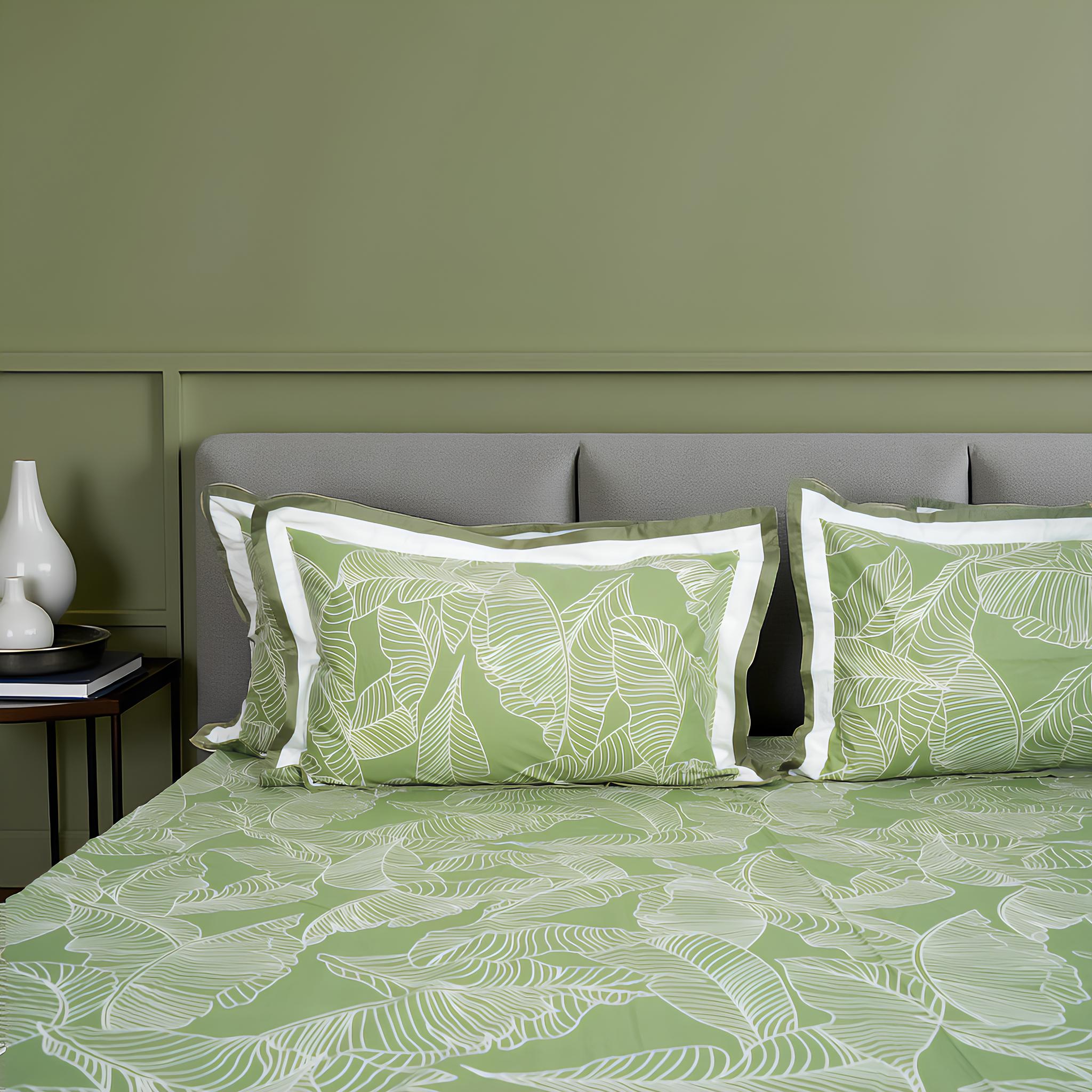 Lavish Olive Grove