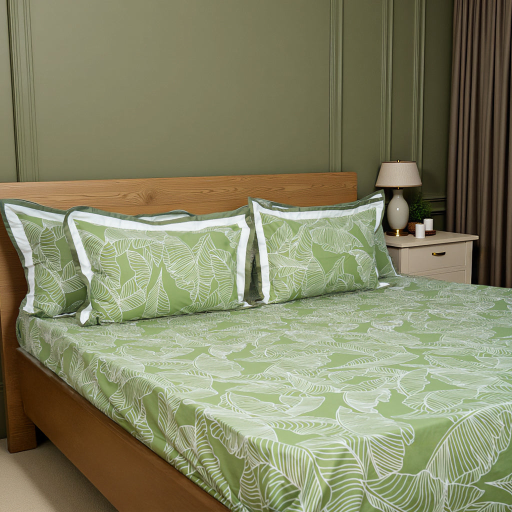 Lavish Olive Grove